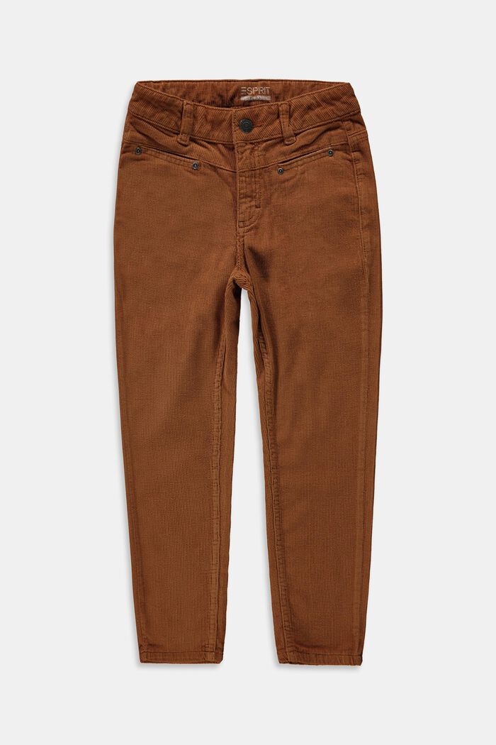 Pantaloni in velluto di cotone, DARK BROWN, overview