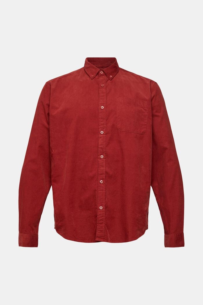 Camicia button-down in velluto