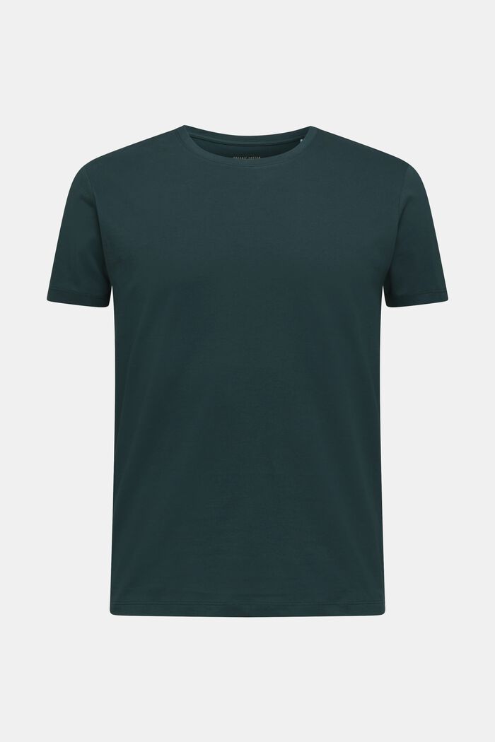T-shirt in jersey di 100% cotone