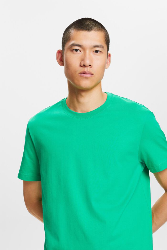 T-shirt girocollo in jersey di cotone Pima, GREEN, detail image number 4