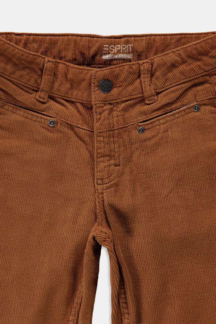 Pantaloni in velluto di cotone, DARK BROWN, detail image number 2