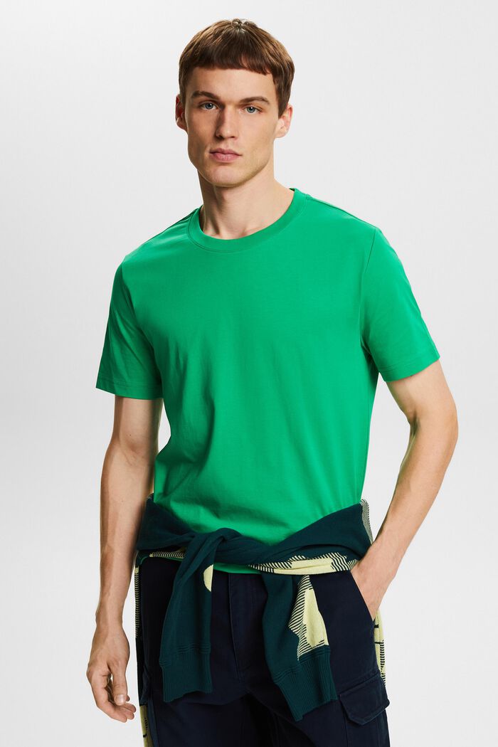 T-shirt girocollo in jersey, NEW GREEN, detail image number 0