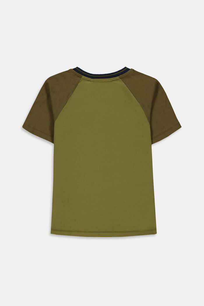 T-shirt con ricamo in 100% cotone, LEAF GREEN, detail image number 1