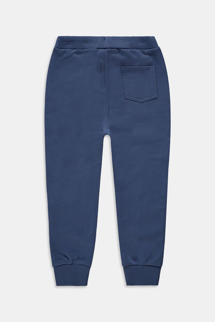 Pantaloni jogger in 100% cotone, GREY BLUE, detail image number 1