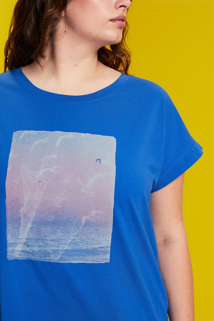 CURVY T-shirt con stampa sul davanti, 100% cotone, BRIGHT BLUE, detail image number 2