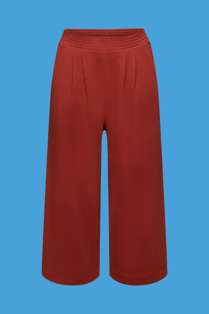 Pantaloni cropped in jersey, 100% cotone, TERRACOTTA, detail image number 7