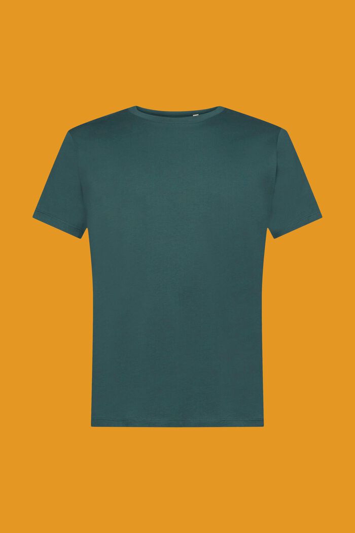 T-shirt girocollo in jersey, TEAL BLUE, detail image number 6