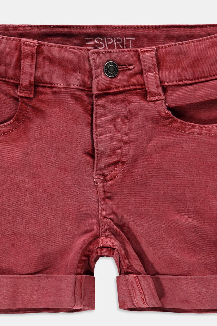 Shorts in twill con vita regolabile, misto cotone biologico, GARNET RED, detail image number 2