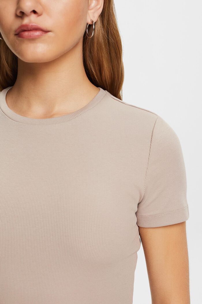 T-shirt girocollo in jersey di cotone, LIGHT TAUPE, detail image number 2