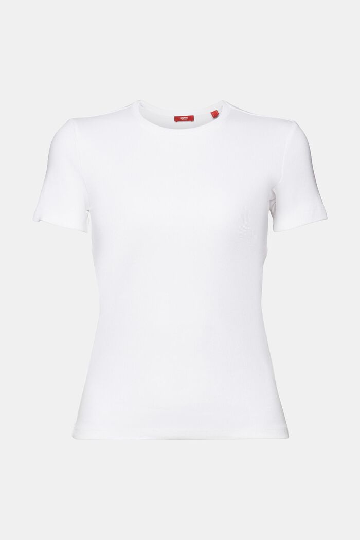 T-shirt girocollo in jersey di cotone, WHITE, detail image number 8