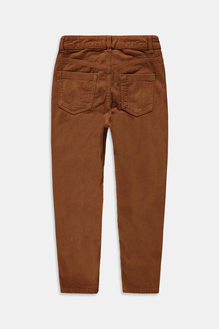 Pantaloni in velluto di cotone, DARK BROWN, detail image number 1