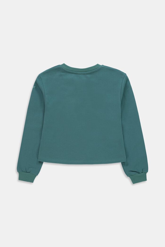 Sweatshirts, TEAL GREEN, detail image number 1