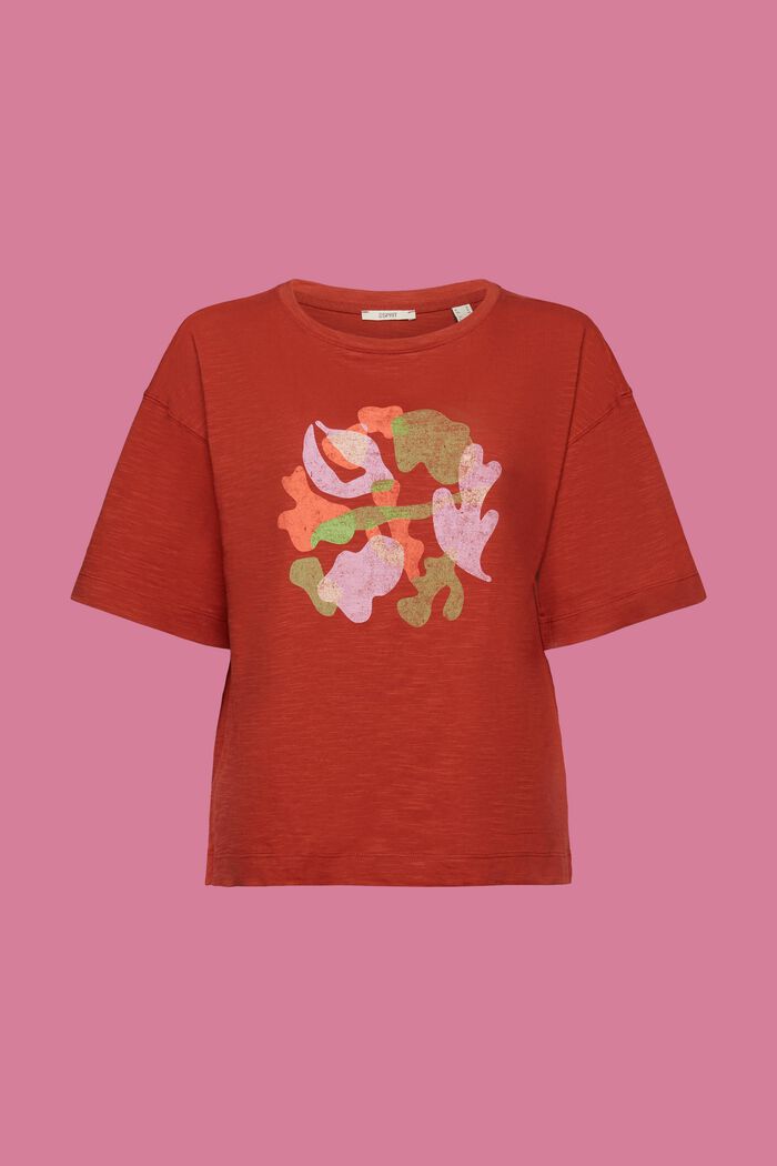 T-shirt con stampa frontale, 100% cotone, TERRACOTTA, detail image number 6